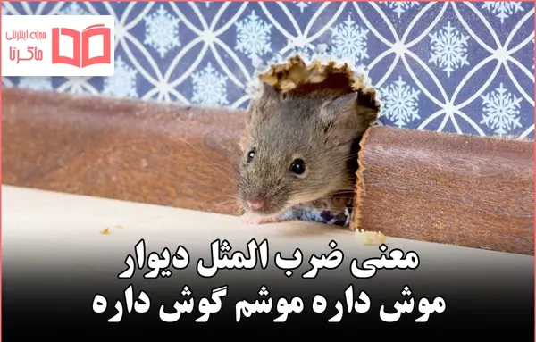 عکس نقاشی ضرب المثل دیوار موش داره موشم گوش داره