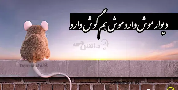 عکس نقاشی ضرب المثل دیوار موش داره موشم گوش داره