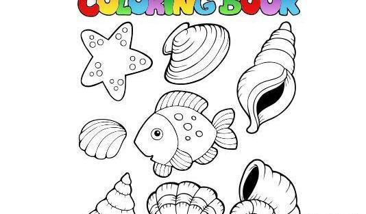 عکس نقاشی فسیل صدف