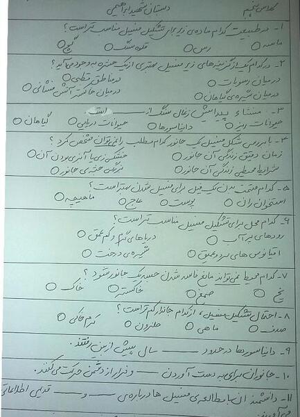 عکس نقاشی فسیل صدف