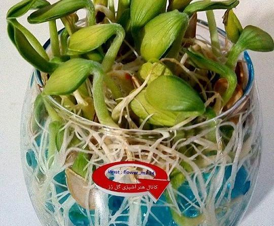 عکس نقاشی خاک ژله ای