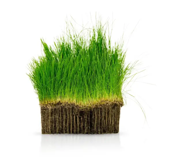عکس نقاشی خاک ژله ای