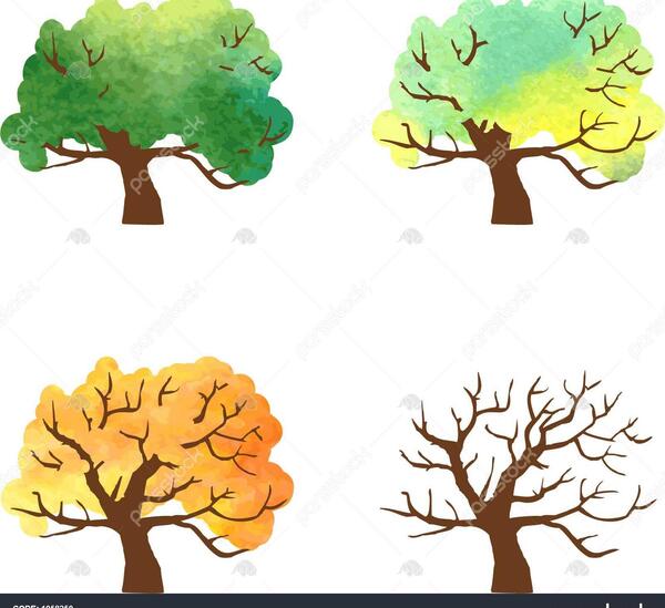 عکس نقاشی درخت بهار