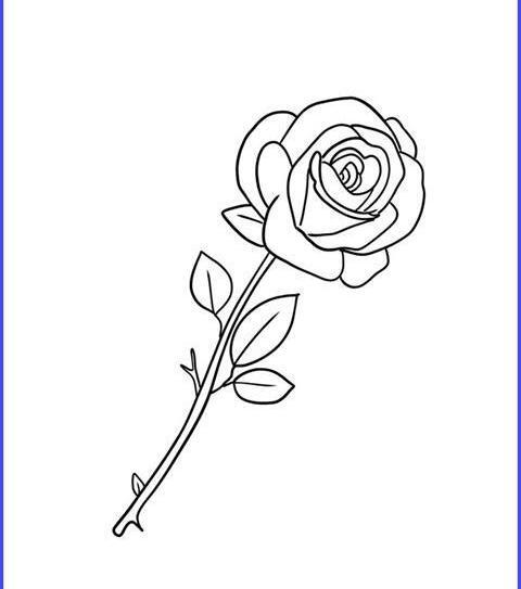 عکس نقاشی گل خیلی ساده