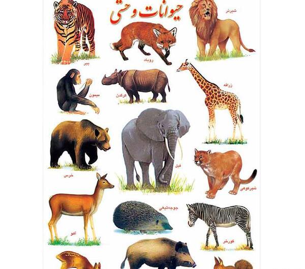 عکس نقاشی حیوانات اهلی و وحشی