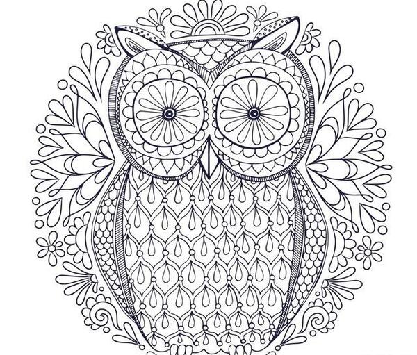 عکس نقاشی جغد رنگی