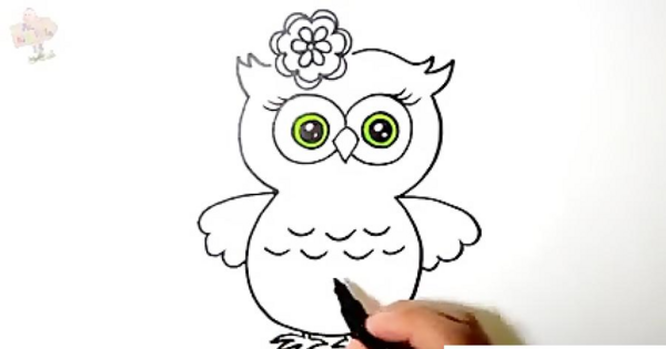 عکس نقاشی جغد ساده
