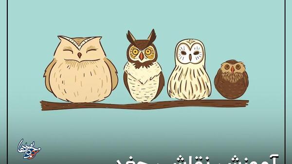 عکس نقاشی جغد ساده