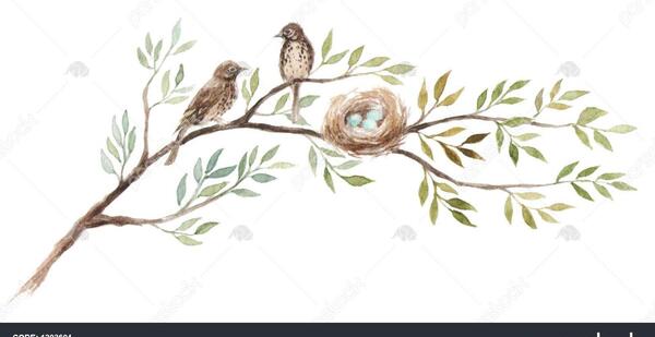 عکس نقاشی پرنده روی درخت