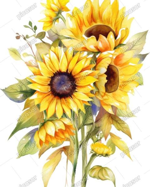 عکس آبرنگ برای نقاشی
