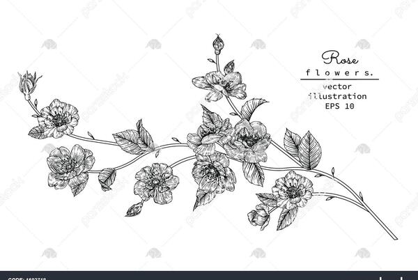 عکس نقاشی گلبرگ