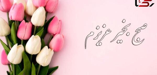 عکس یا فیلم صبح بخیر