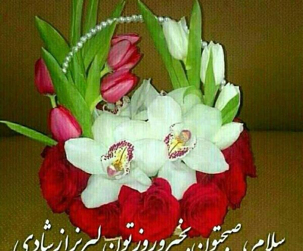 عکس و فیلم سلام صبح بخیر
