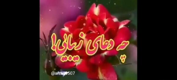 عکس و فیلم سلام صبح بخیر