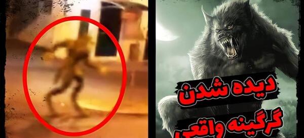 عکس واقعی گرگ آدم نما
