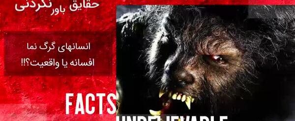 عکس واقعی گرگ آدم نما