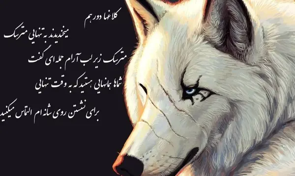 عکس واقعی گرگی