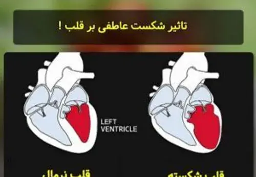 عکس واقعی قلب آدم