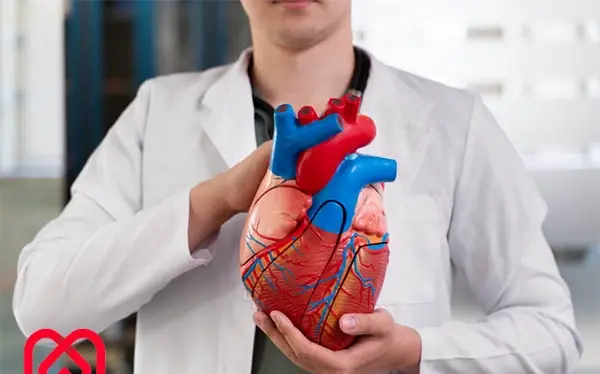 عکس واقعی قلب آدم