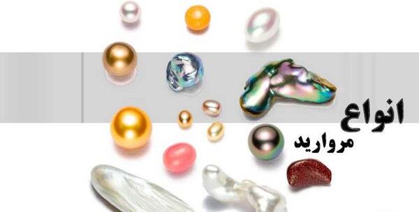 عکس مروارید صدف واقعی