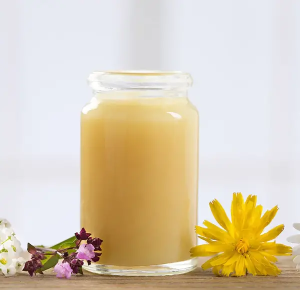 عکس ژله واقعی