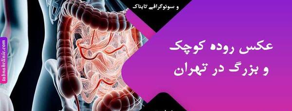 عکس واقعی روده بزرگ انسان