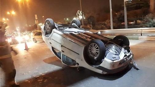 عکس واقعی دایناسور در ایران