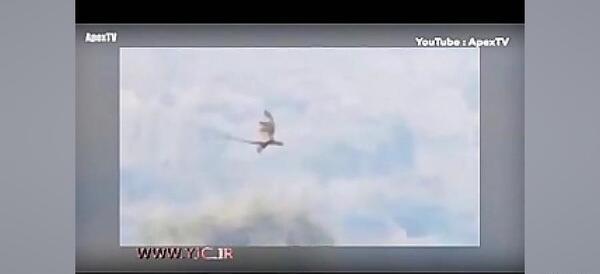 عکس واقعی دایناسور پرنده