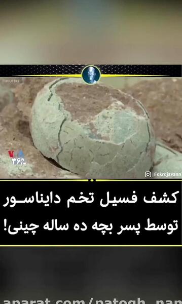 عکس تخم واقعی دایناسور