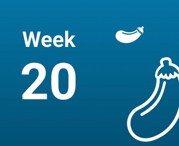 نوزده عکس واقعی جنین 20 هفته