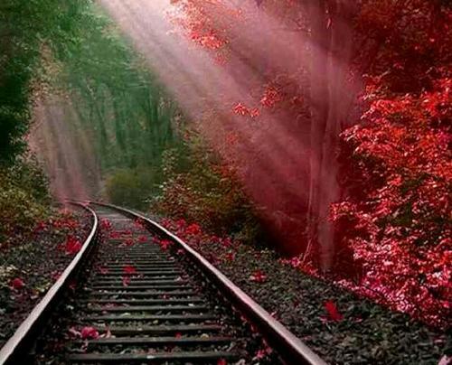 عکس بهشت واقعی برای کودکان