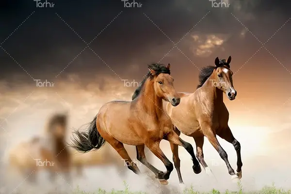 عکس پسر بچه در حال دویدن