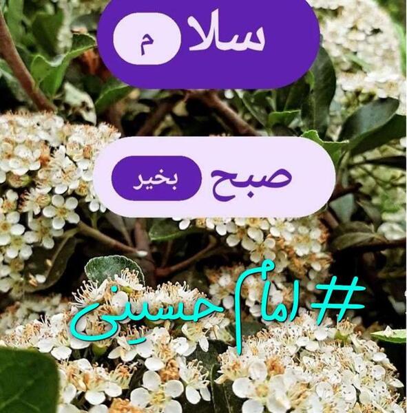 عکس صبح بخیر عاشورایی