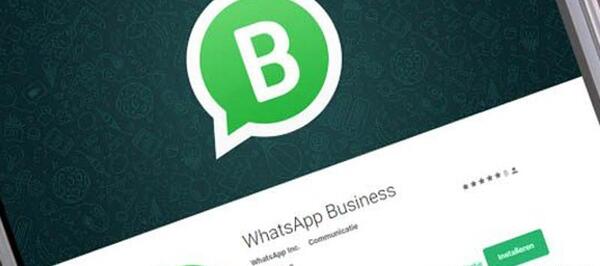 عکس لوگوی واتساپ بیزینس