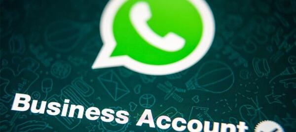 عکس لوگوی واتساپ بیزینس