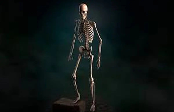 عکس اسکلت واقعی زنده