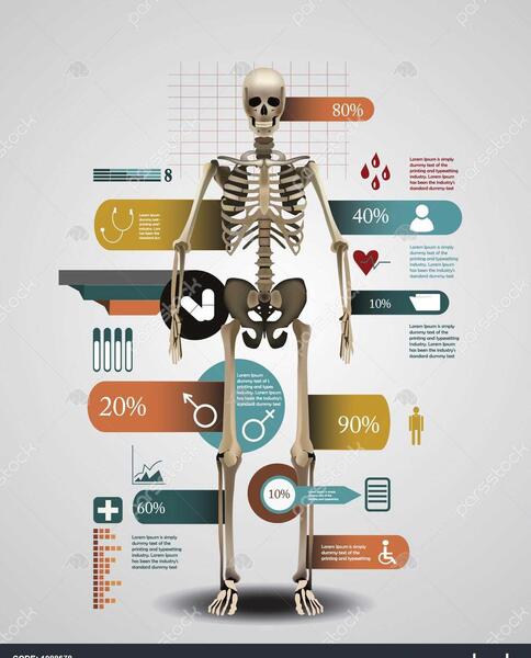 عکس اسکلت واقعی بدن انسان