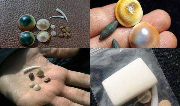 عکس اسکلت مار کبرا