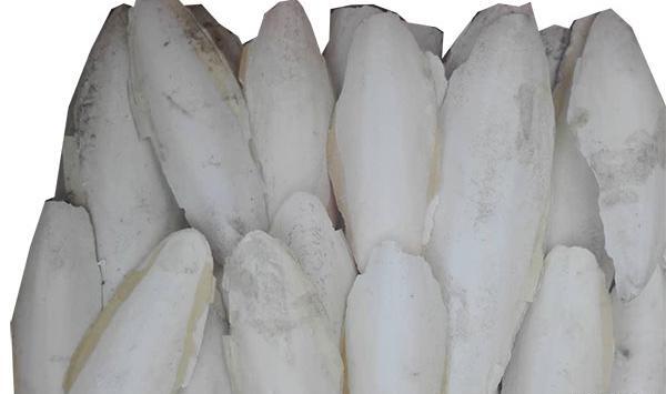 عکس اسکلت مرغ عشق