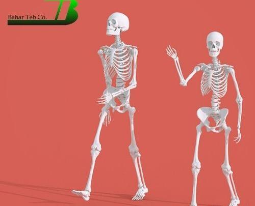 عکس اسکلت آدم مرده