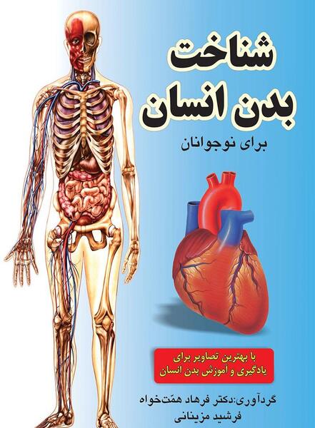 عکس اسکلت بدن انسان برای کودکان