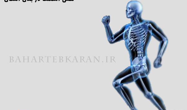 عکس اسکلت بدن انسان برای کودکان
