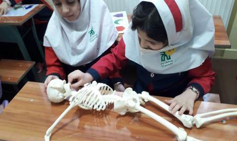 عکس اسکلت بدن انسان برای کودکان