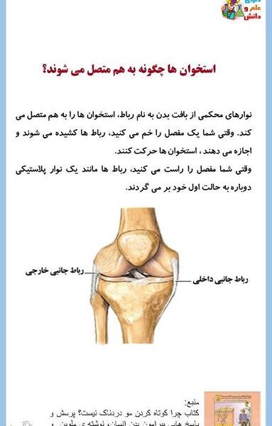 عکس اسکلت بدن انسان کلاس پنجم