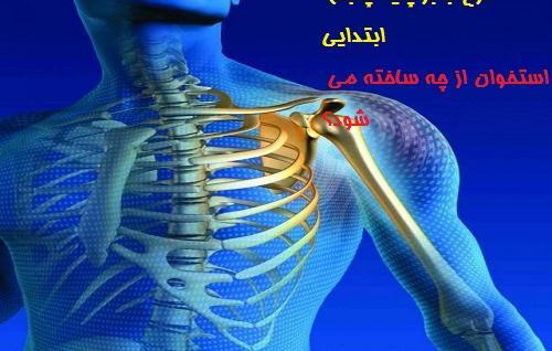 عکس اسکلت بدن علوم پنجم