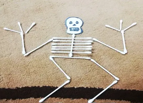 عکس اسکلت بدن علوم پنجم
