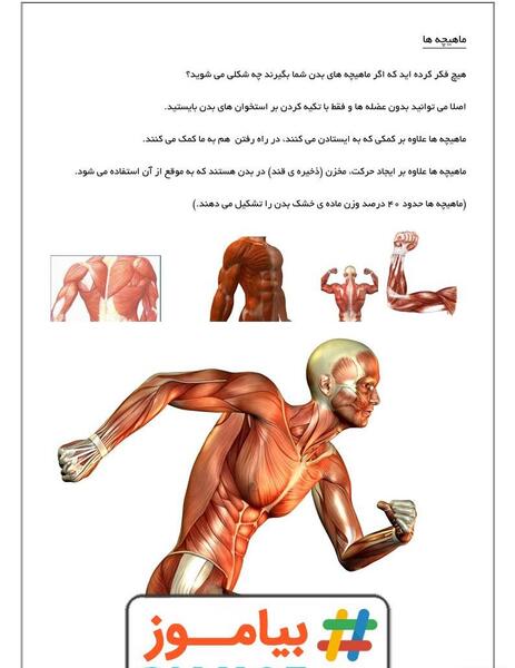 عکس اسکلت بدن علوم پنجم