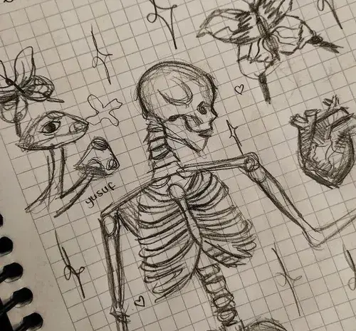 عکس اسکلت برای نقاشی ساده