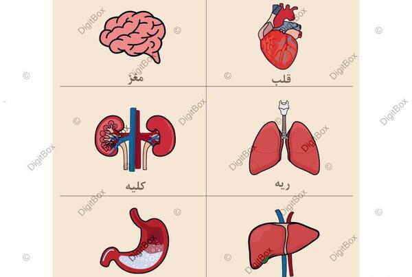 عکس اسکلت انسان کارتونی