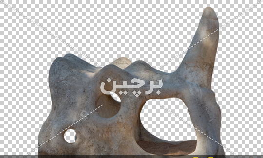 عکس اسکلت دایناسورها